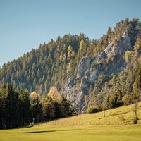 baumhoroskopweg - familienwanderung_img_58021502