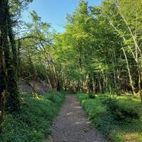 Mountainbike-Runde 5: Lac d'Armaille