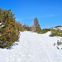 Der untere Weg am Heumahdgupf über die Gasselhöhe