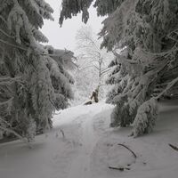 Aufstieg auf das Hennesteck