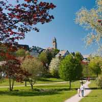 Unterwegs im Schmallenberger Kurpark