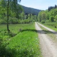 Schotterweg nach Brotenau