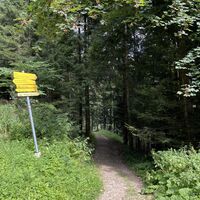 Bei einer Kreuzung hier weiter (nicht zu übersehen - Wegweiser sind wie erwähnt perfekt installiert)