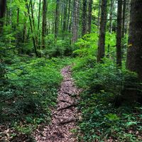 Weg entlang des Brançon-Bachs