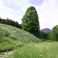 Söll_Schattseitweg_Wilder Kaiser