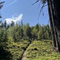Im Gegensatz zum Tatzelwurmwandern auf die Rax wandelt man hier auf völlig einsamem Pfade