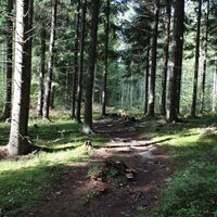 HAIKKAANLAHTI-ROUTE