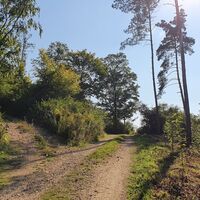 12.8 km Links nach Schiltern