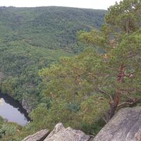 Schöne Aussicht auf die Thaya