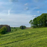 20220512_Jagdhornweg_Valbert (14).jpeg