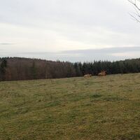 am Weg zur Weiglwarte