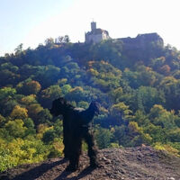 Auf dem Metilstein mit Blick auf die Wartburg bei Eisenach
