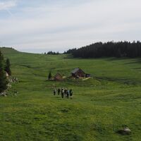 Am Herrenboden - Tonion