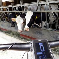Unter den Bauernhöfen in Fiavé