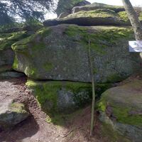10.3 km Steig "4 Berge Marsch"