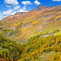 Loc Alpe Gran Mioul - Valle Argentera