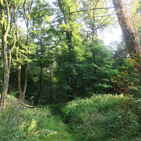Stellerskuppenweg 07