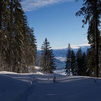 nach Gurnigel Berghaus - Schneeschuhtrail Obergurnigel (114)