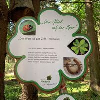 Mein Weg zum Glück