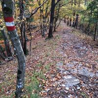 Der Weg führt steil bergauf