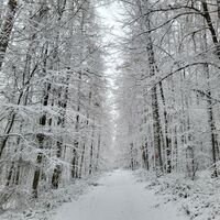 Der Rundweg auf dem Hilschberg im Winter
