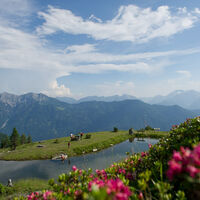 Knappensee