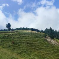 Wetterbesserung im Anstieg zum Teisenberg-Gipfel