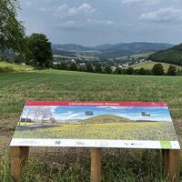 Infotafel "Grafschaft und historischer Wilzenberg"
