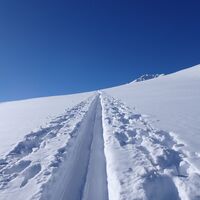 Spuuuren im Schnee
