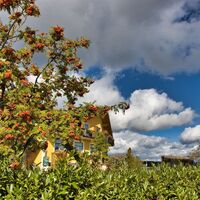 Herbststimmung