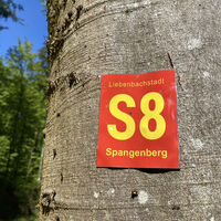 Spangenberg S8