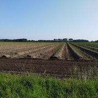 Radrundweg R 18 Herzebrock-Clarholz