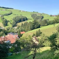 Duftkreuztrail Kleinkohlergraben