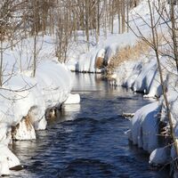 Winterwanderweg "Berger Moos Runde"