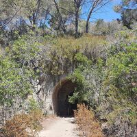 Naturtunnel mit Kurve