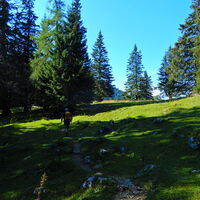 Niederalpl - Hohe Veitsch - Seewiesen