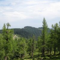 Göriacher Alm und Hochanger