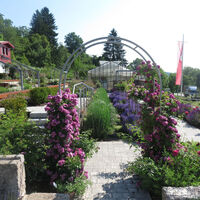 Rosenfeld Rosen und Skulpturengarten