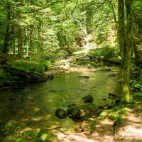 An der idyllischen Eyach entlang
