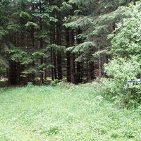 Wanderweg/-steig