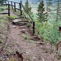 Der Weg ist liebevoll gepflegt