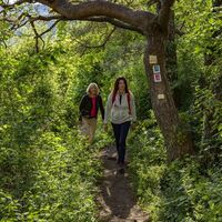 Wandern auf dem Panoramaweg Perl