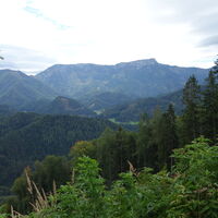 Auf der Forststraße (Blick zum Gippel)