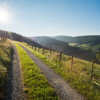Blick auf das Sorpetal