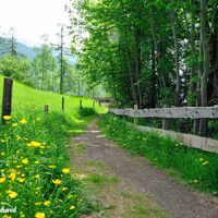 Der herrliche Duft der Wiesengräser umgibt uns