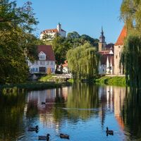 Enzufer, Vaihingen an der Enz