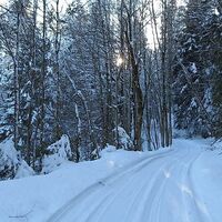 Winterwanderweg zum Kaltenbrunnen
