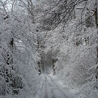 Winterlandschaft am Treidlerweg