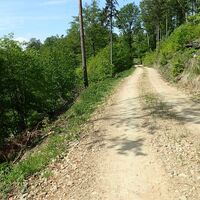 Forstweg zum Parapluieberg
