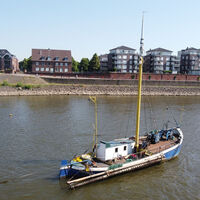 Aalschocker Anita vor Rees